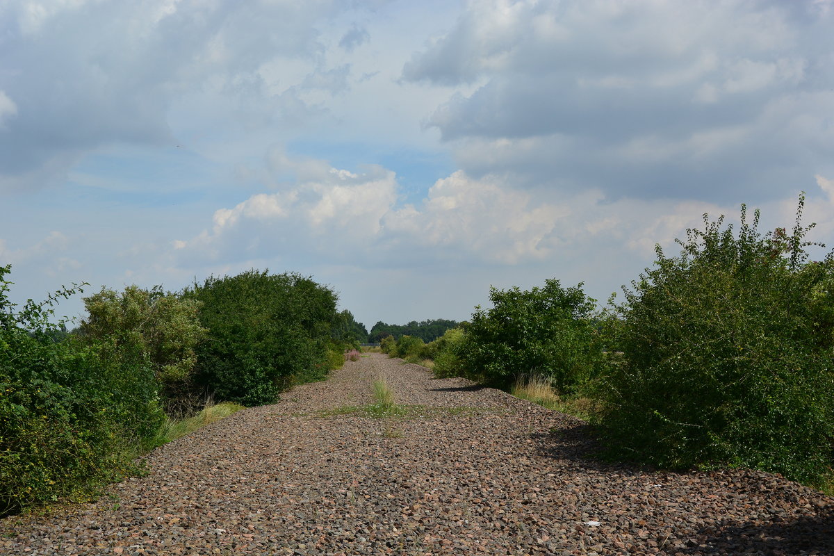 Trauriges Schicksal einer einst bedeutenden Bahnstrecke. Hier führte einst die Kanonenbahn Berlin - Blankenburg. Die Strecke war ehemals 2 gleisig. Später wurde sie 1 gleisig zurück gebaut und 1998 entgültig stillgelegt. 

Güsten 02.08.2017