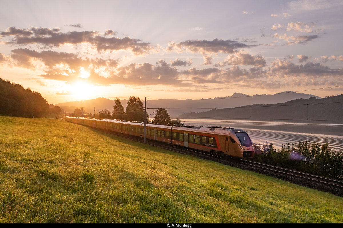 Traverso RABe 526 108/208 zusammen mit einem Flirt 1, verkehrte am 13.08.2021 als IR 2008 von St. Gallen nach Biberbrugg. Hier am frühen Morgen bei Bollingen am Zürichsee. Hierbei handelt es sich um einer der Ersten Züge, die nach der knapp 5 Wöchigen Streckensperre diese Strecke befahren.
