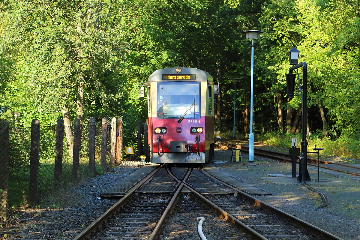 Triebwagen 187 016 als P 8915 (Quedlinburg - Harzgerode) am 22.08.2020 bei Einfahrt in den Bahnhof Alexisbad. (Bild 1)
(Achtung! Dieses Bild war bereits freigeschalten!!)