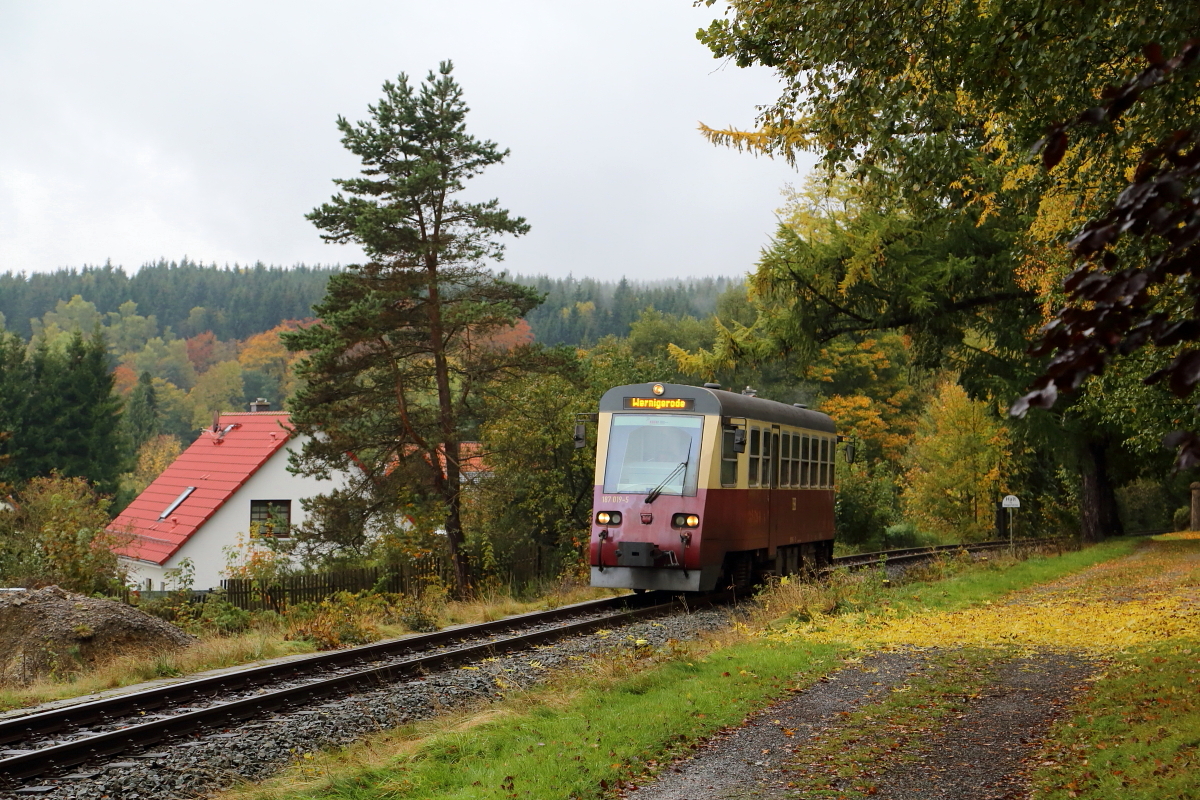 Triebwagen 187 019 als P 8902 (Eisfelder Talmühle-Wernigerode) am 17.10.2015 kurz vor der Einfahrt in den Bahnhof Elend.