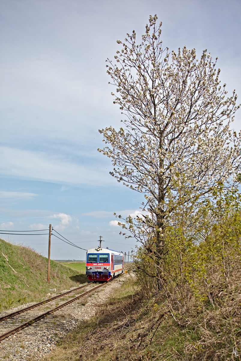 Triebwagen 5047.040 kurz vor Auersthal am 7.04.2019.