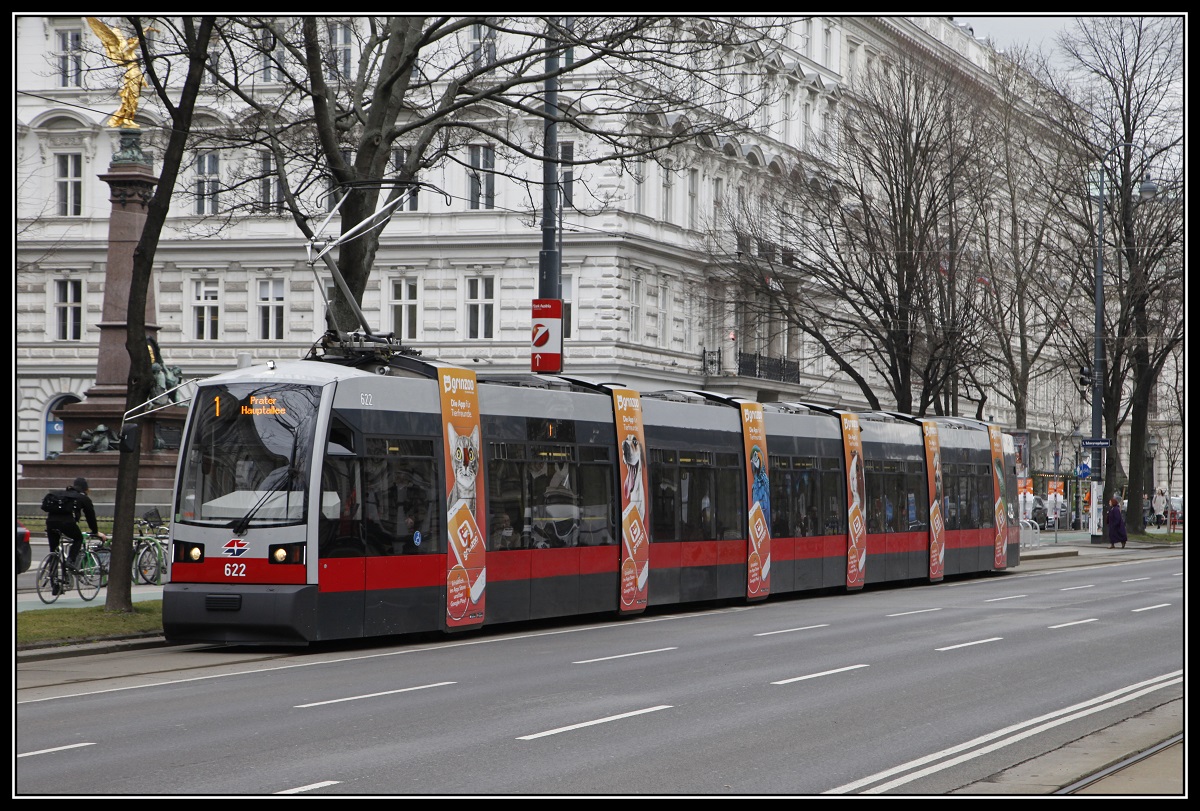 Triebwagen 622, Linie 1, Universitätsring am 14.03.2018.