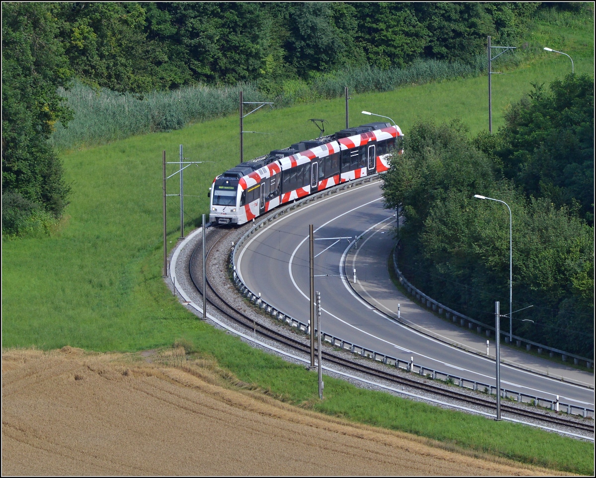 Triebwagen der Frauenfeld-Wil-Bahn ABe 4/8 zwischen Murkhard und Lüdem. Juli 2014. 