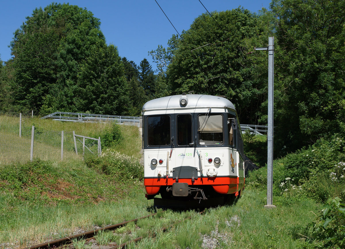 TRN/CMN: Noch rattern die kleinen roten Züge auf den abgelegenen Strecken zwischen La Chaux-de-Fonds - Les Ponts-de-Martel und Le Locle - Les Brenets mit einer Eigentumslänge von 20 km hin und her. Wegen dem schlechten Zustand der Infrastruktur und den alten Fahrzeugen aus den Jahren 1950 und 1991 sind diese Strecken von der Umstellung auf einen eventuellen Busbetrieb stark bedroht. BDe 4/4 3 auf der Fahrt nach Le Locle am 18. Juli 2016. Bald können die Kühe auch auf dem Bahntrasse weiden. 
Foto: Walter Ruetsch 