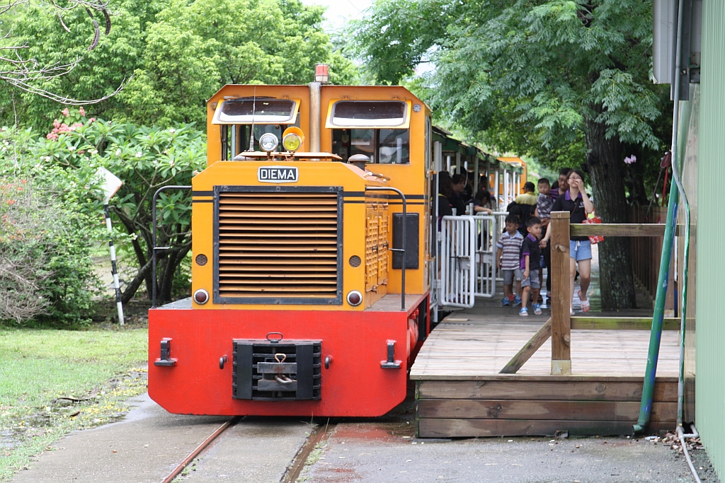 TSC 151 (C-dh, DIEMA, Bj.1977, Fab.Nr. 4050) am 04.Juni 2017 in der Endstelle der Touristenfahrten im Suantou Zhecheng Cultural Park.