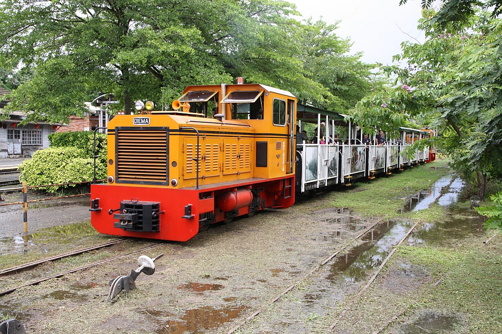 TSC 151 (C-dh, DIEMA, Bj.1977, Fab.Nr. 4050) fährt am 04.Juni 2017 mit einem Touristenzug im Suantou Zhecheng Cultural Park durch das Gelände.