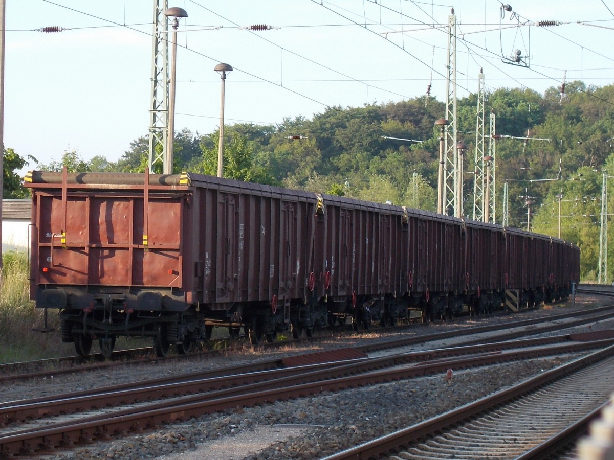 Tschechische Tams,am 25.Mai 2014,in Bergen/Rügen.