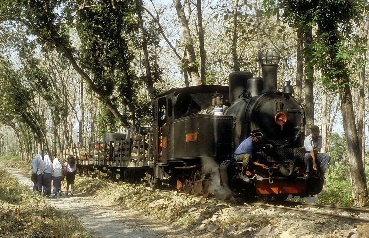  TUDJUBELAS  Waldbahn Cepu  10.08.04