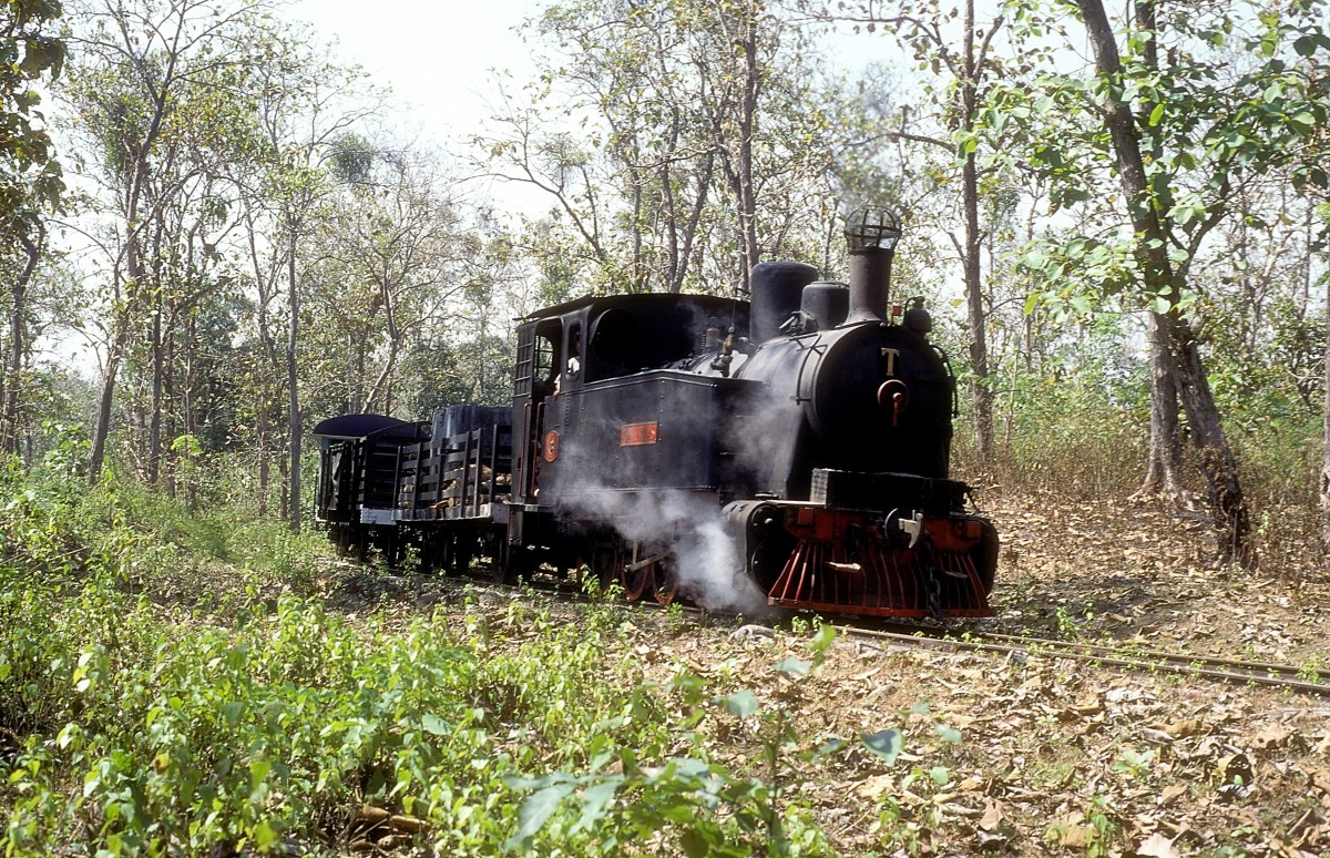  TUDJUBELAS  Waldbahn Cepu  20.08.95