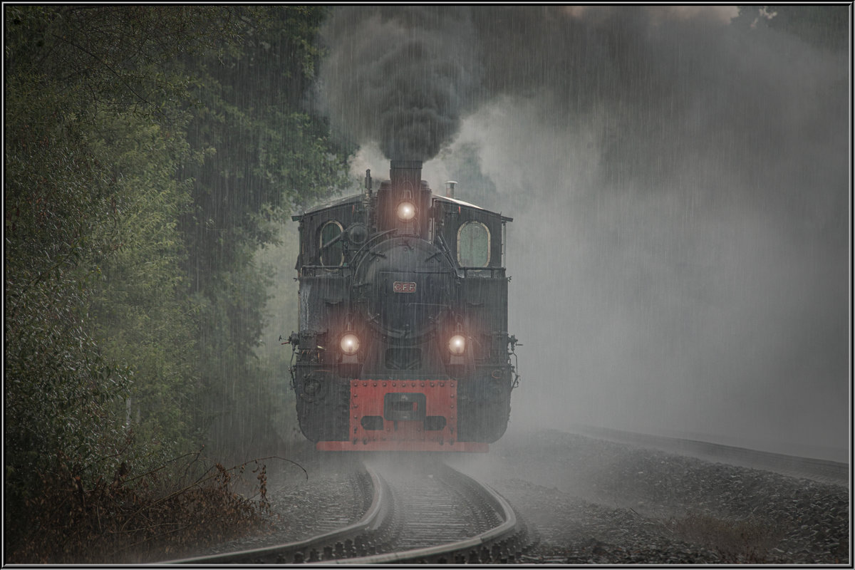 TÜRL NR. 11

Der Flascherlzug dampft durch starken Regen im Sommer 2019