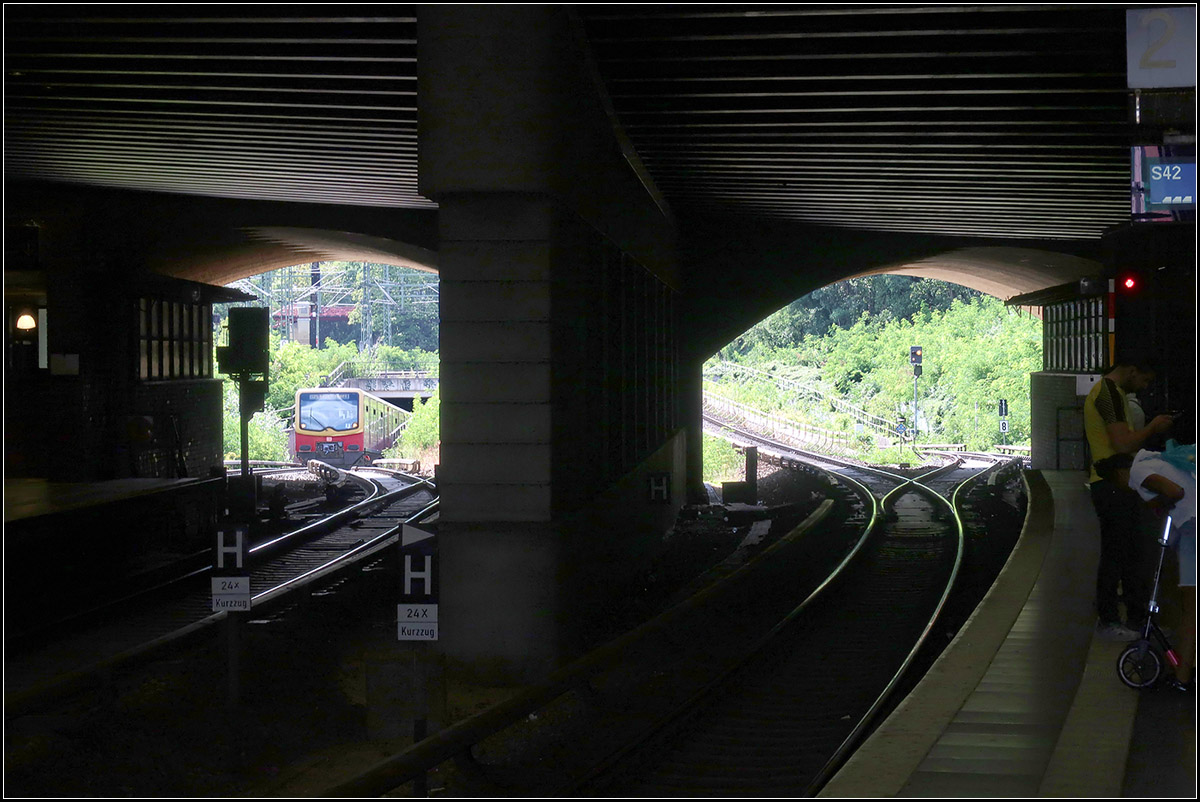 Tunnelcharakter -

Der westliche Bahnsteigbereich des Bahnhofes Berlin-Gesundbrunnen ist überdeckt. Wie aus einem Tunnel blickt man ins Freie. Der einfahrende S-Bahnzug kommt vom Bahnhof Humboldthain und verlässt gerade einen kurzen Tunnel unter den Fern- und Regionalbahngleisen.

21.08.2019 (M)