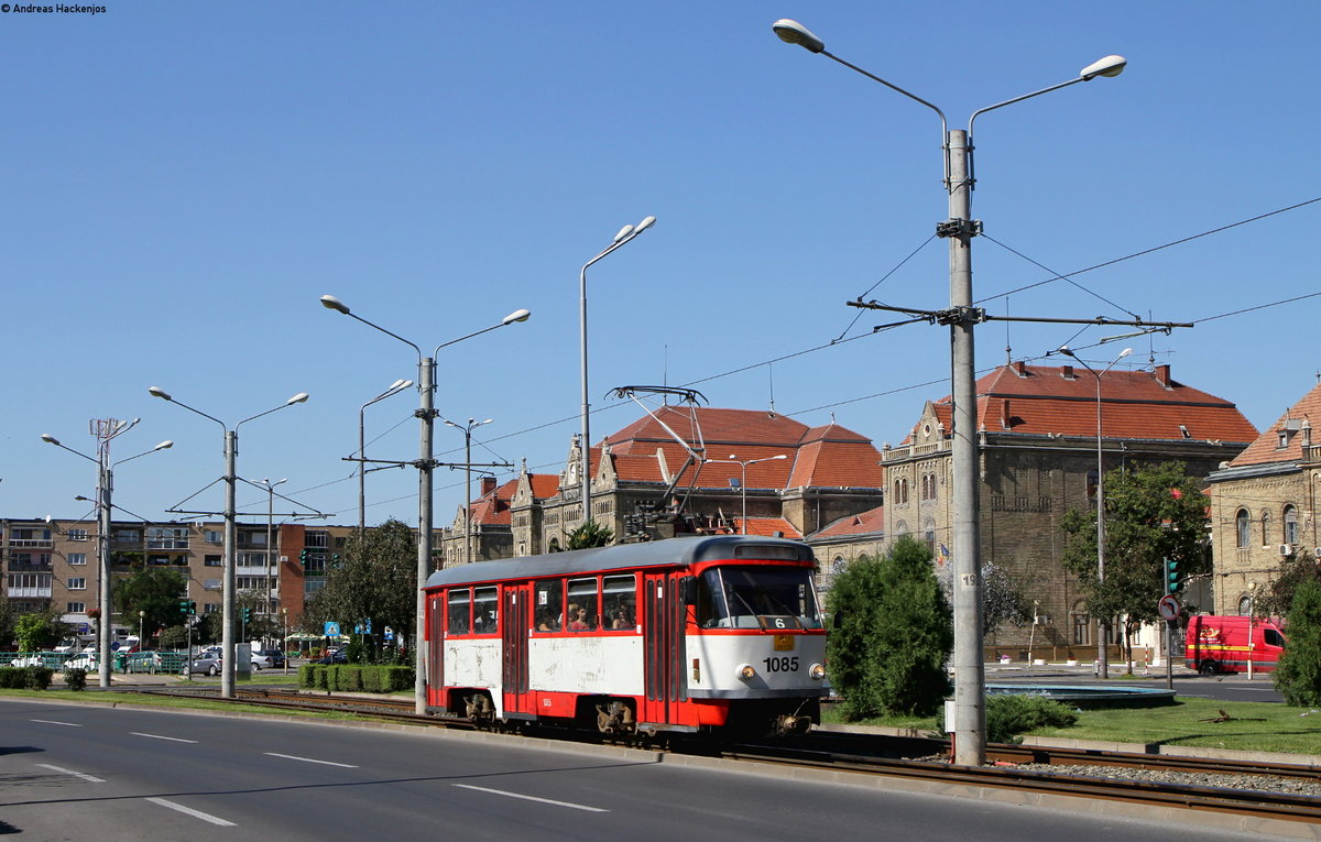 TW 1085 als Linie 6 in Arad 28.8.16