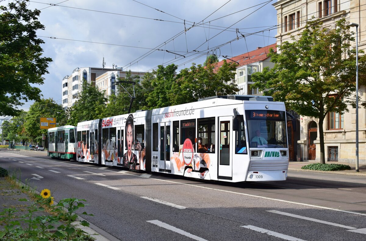 Tw 1309 fährt mit einem Tatra-Großraumbeiwagen über die Lüneburger Straße in Richtung Barleber See.

Magdeburg 03.08.2021