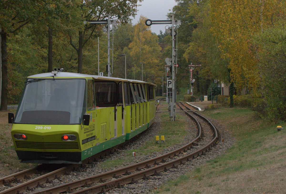 TW 299-010 fährt in den Haltepunkt Cottbus Zoo ein. 28.10.2018  12:44 Uhr.