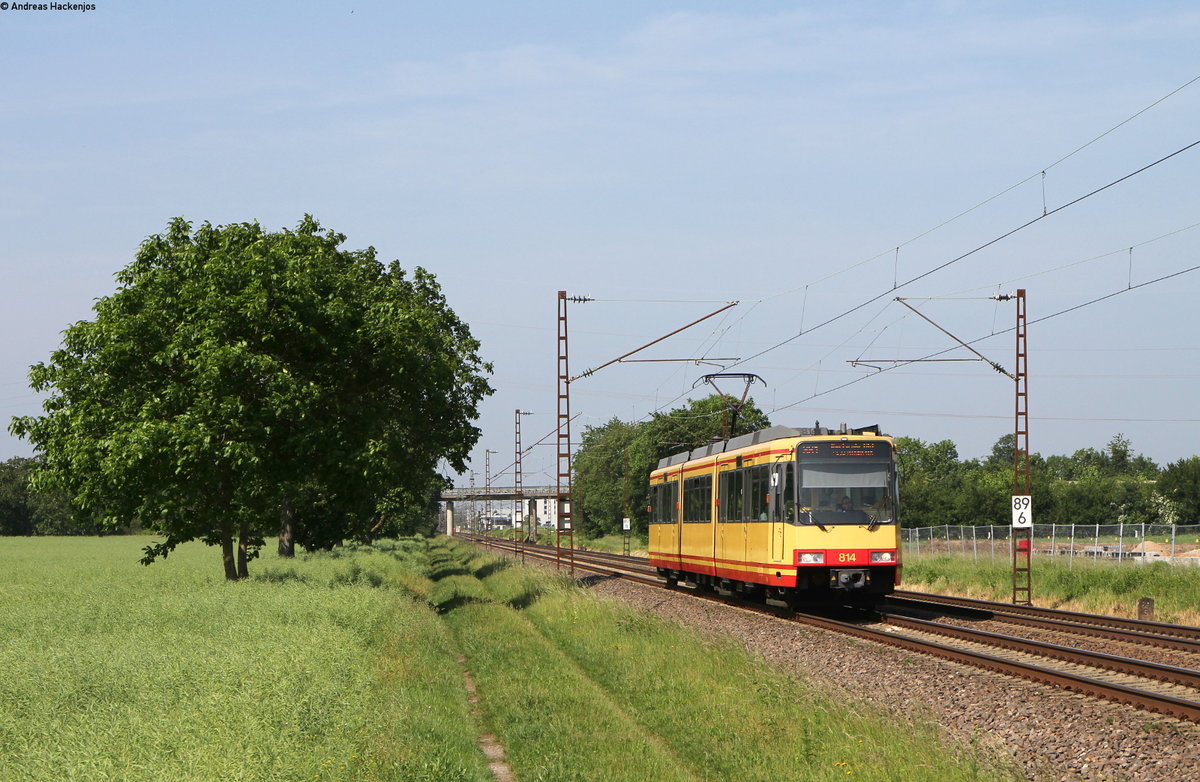 Tw 814 als S81 nach Menzingen bei Malsch 18.5.18