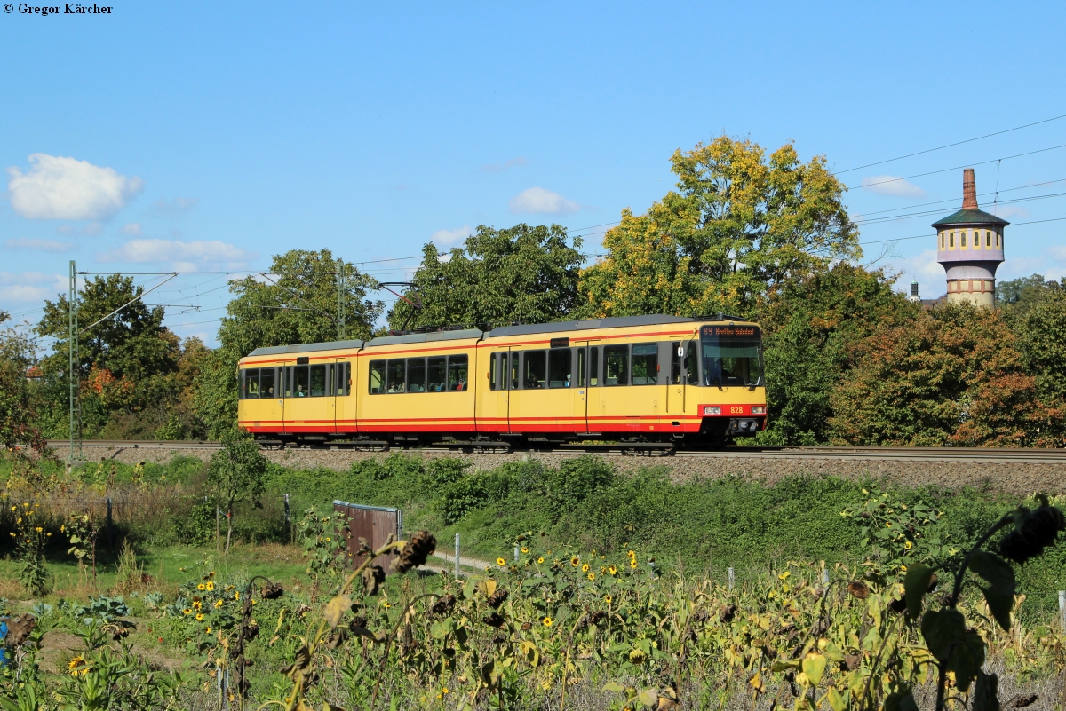 TW 828 als S9 nach Bretten bei Bruchsal-Schlachthof, 28.09.2015.