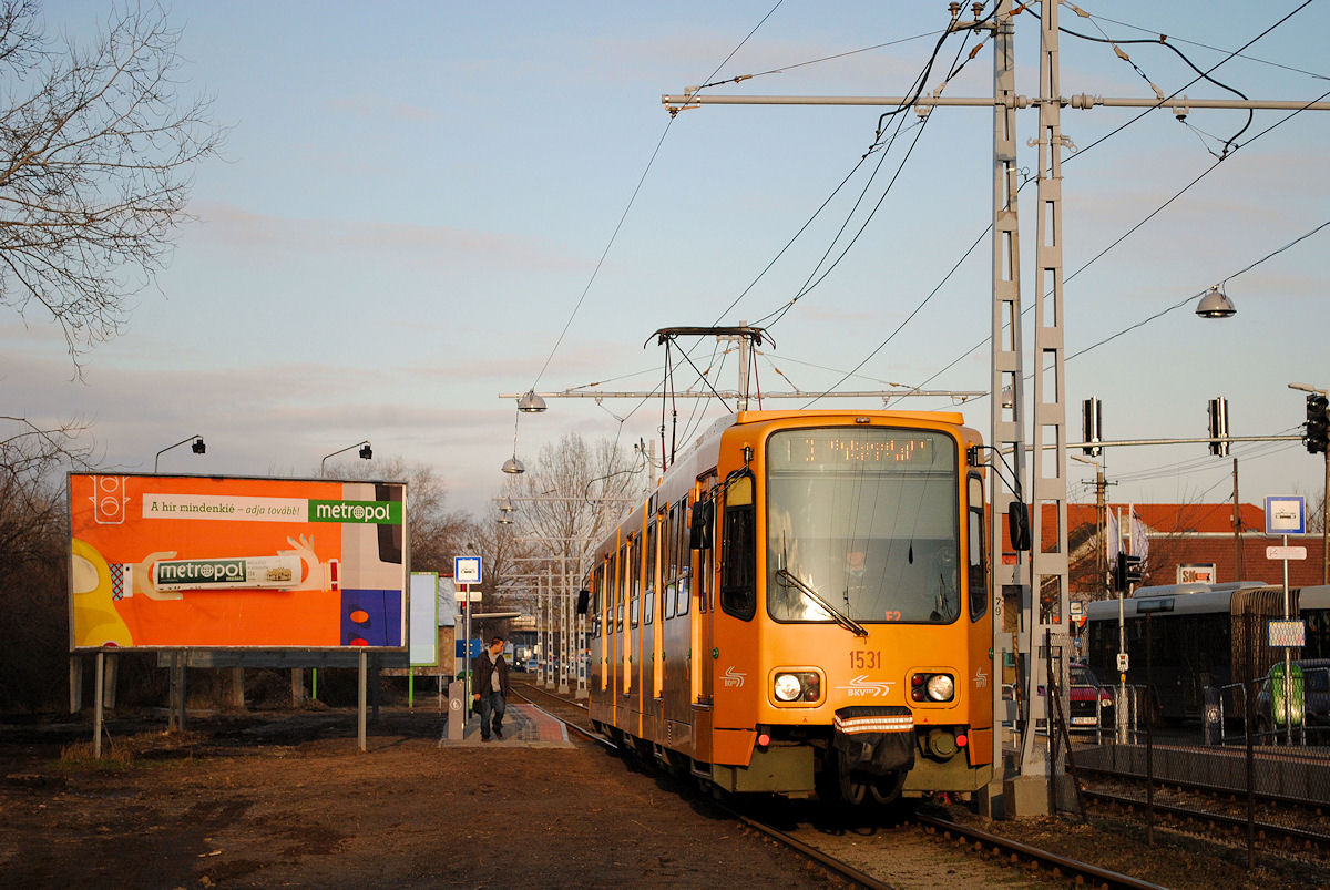 Tw.1531 (ex. Hannover), Hatar ut.(30.01.2015)