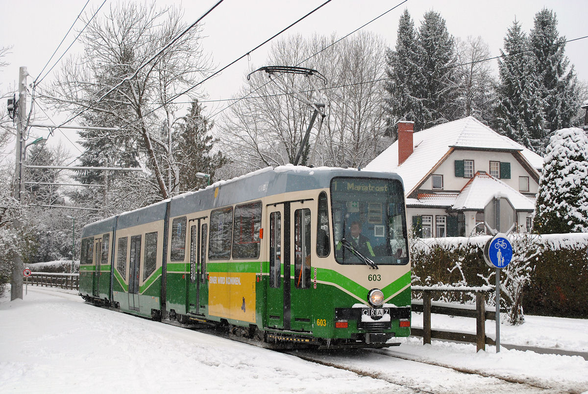 Tw.603 auf der Fahrt nach Mariatrost bei einem kurzen Halt in der Station Waldhof. (28.12.2014)