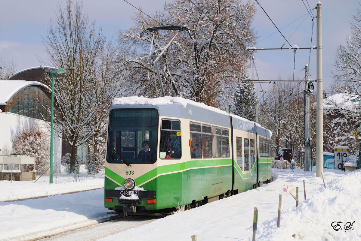 Tw.603 verläßt die Haltestelle Rettenbach. (23.02.2013)