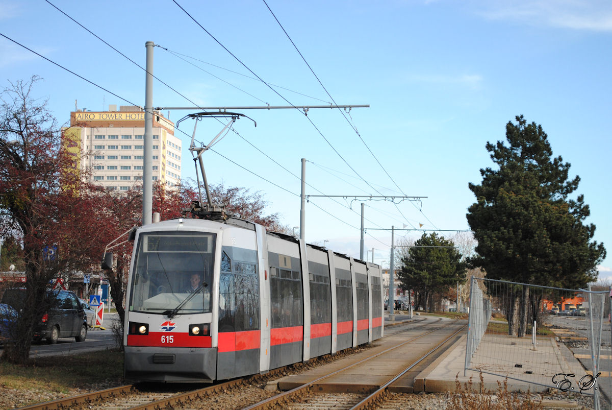 Tw.615 Fontanastr./Kurzentrum Oberlaa.(08.02.2014)