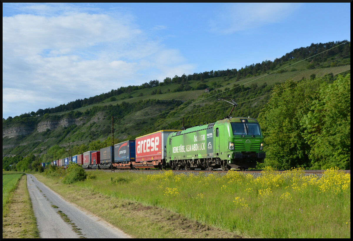 TXL 193 996-6  �KOLOGIK KEINE F��E, KEIN ABDRUCK  am 19.05.2026 mit einem KLV-Zug bei Th�ngersheim im Maintal.