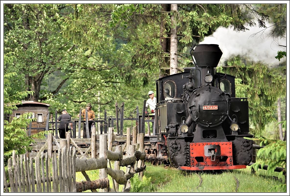 Typisch für das ländliche Rumänien im Karpatenbogen werden Felder und Bahntrassen durch Holzzäune begrenzt. Auch 764.404R zwischen Moldovita und Argel fährt einen ZickZack Kurs zwischen Wald und Feld. (14.06.2017)