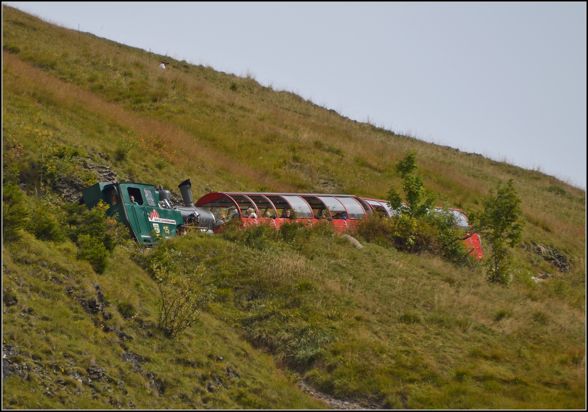 <U>Bahnbildergipfeltreffen in Brienz.</U>  

Hier ist wohl alles schief... Lok 15 im Gemüse zwischen Chüemad und Oberstafel. September 2013. 