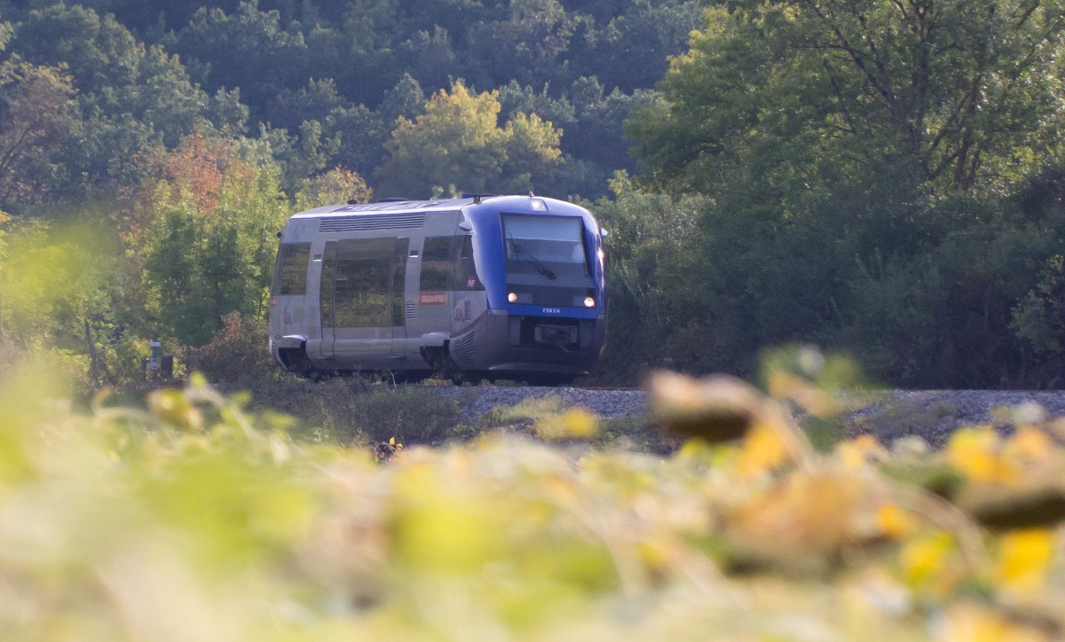 ber dem Sonnenblumenfeld: Walfisch 73626 als RE 71208 der TER/SNCF auf dem Weg von Toulouse nach Figeac in der Nhe von Lexos (25.09.2013)