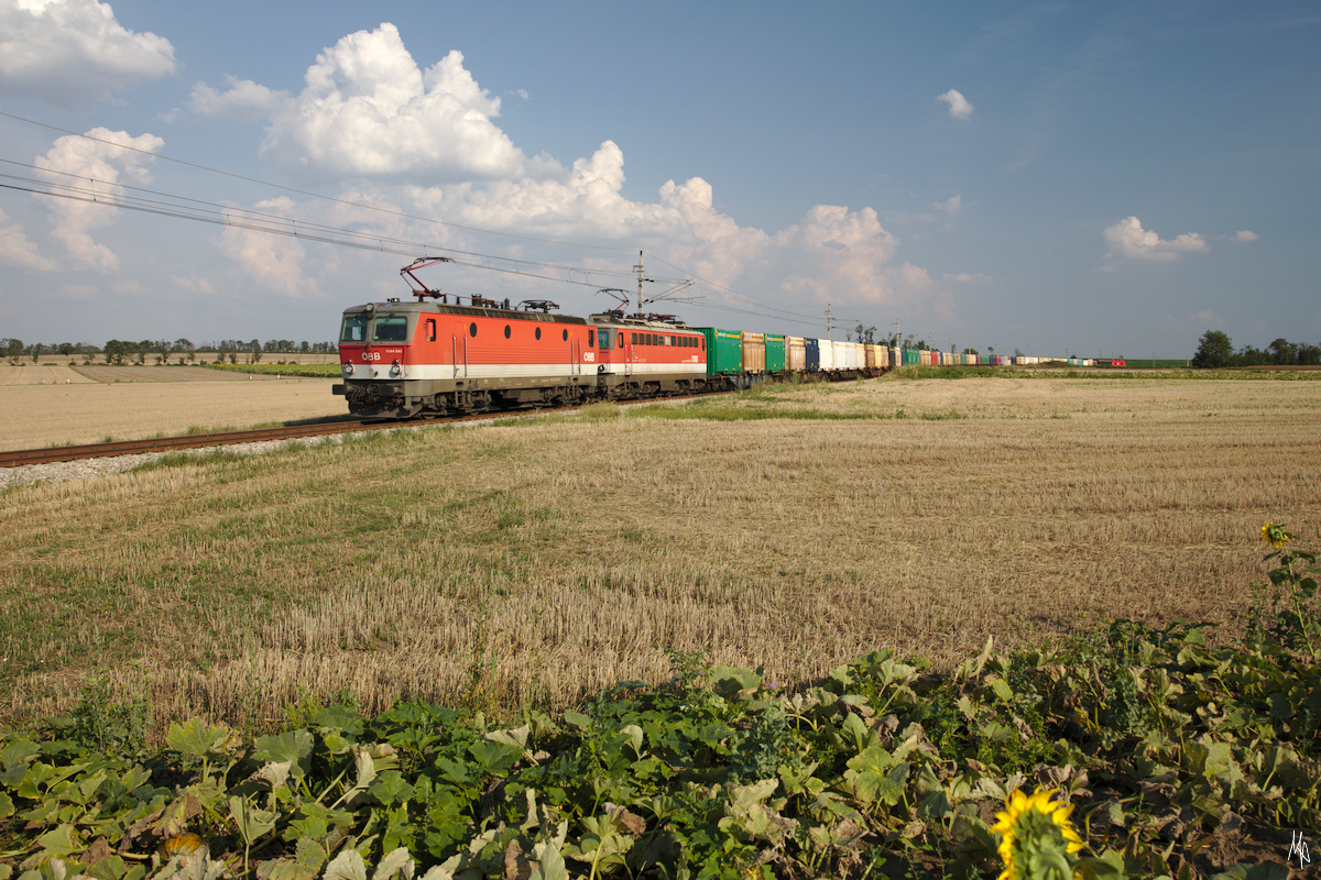 Über den Sommer mussten die Güterzüge der Nordwestbahn von Zellerndorf über die Pulkautalbahn nach Laa und von dort nach Wien umgeleitet werden. Das Bild zeigt so einen umgeleiteten Güterzug zwischen Zellerndorf und Retz. Die Diesellok, die den Zug auf der nicht elektrifizierten Pulkautalbahn befördert hat, läuft am Zugschluss mit.
Im Bild die 1144.041 und die 1142.638. (14.06.2020)