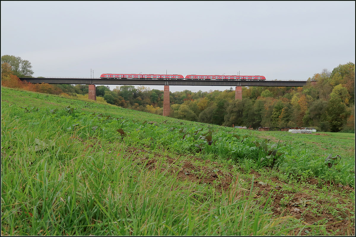Über das Tal der Rems -

Remstalviadukt nördlich von Waiblingen der Murrbahn mit einem Zug der Baureihe 430 auf der S3 in Richtung Backnang.

22.10.2020 (M)