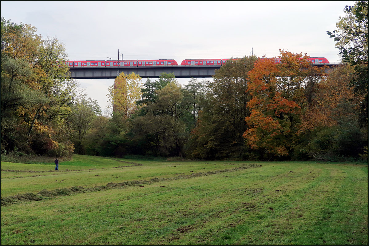 Über das Tal der Rems -

Zwischen Waiblingen und der Station Neustadt-Hohenacker überquert die Murrbahn auf einem Viadukt das hier eingeschnittene Remstal. Hier mit einem Zug der Baureihe 430 auf der S3 in Richtung Backnang.

22.10.2020 (M)
