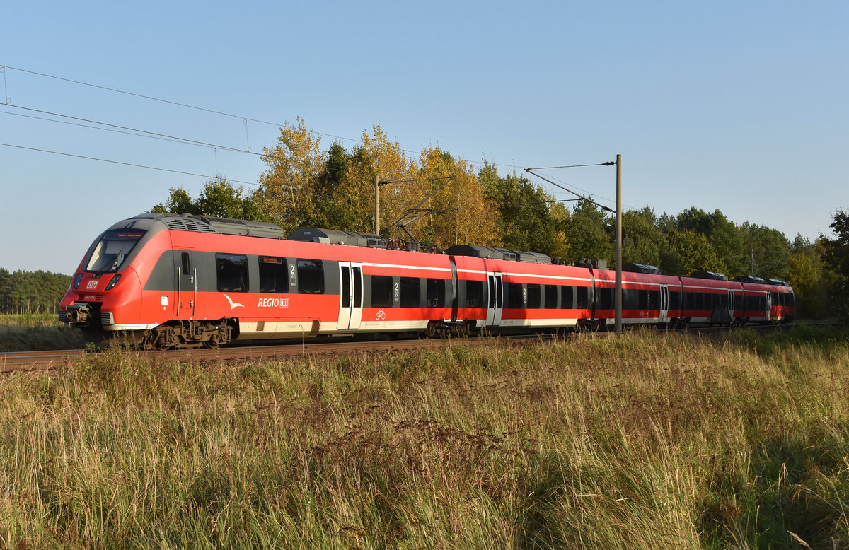 Überführungsfahrt einer 442 852 kommend aus Schwerin, unterwegs zum Bahnhof Büchen. 3km östlich von Büchen 16.10.2017