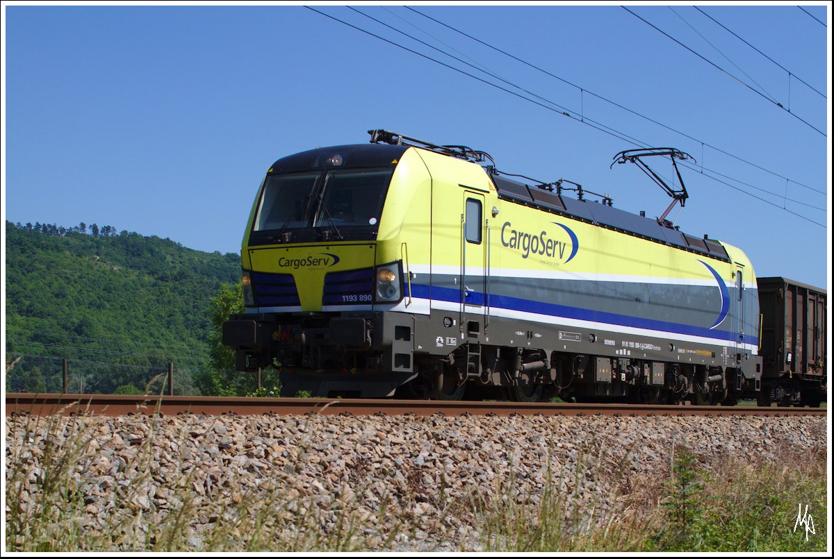 Überrascht war ich, als mir zwischen Bisamberg und Korneuburg die Vectron-Lokomotive 1193 890 von CargoServ vor die Linse vor. (05.06.2015)