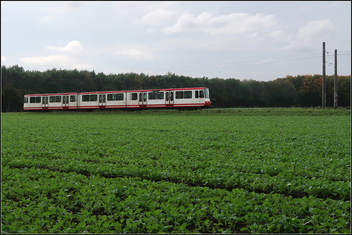 Übers Feld -

... ist hier ein Stadtbahnwagen B80C/8 auf der Dortmunder U47 unterwegs. Die Stadtbahn fährt in Richtung Westerfilde und wird bald den Bahnübergang über die Güterzugstrecke erreichen.

15.10.2019 (M)