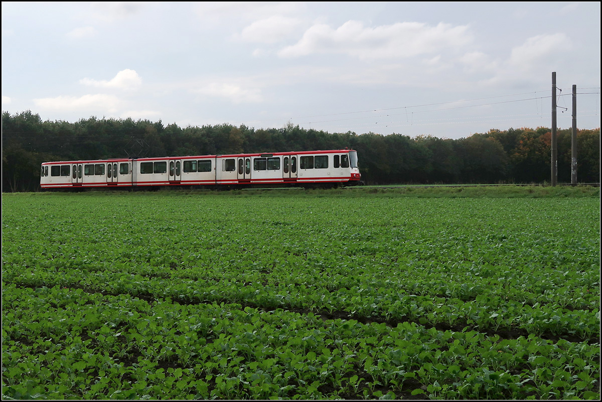 Übers Feld -

... ist hier ein Stadtbahnwagen B80C/8 auf der Dortmunder U47 unterwegs. Die Stadtbahn fährt in Richtung Westerfilde und wird bald den Bahnübergang über die Güterzugstrecke erreichen.

15.10.2019 (M)