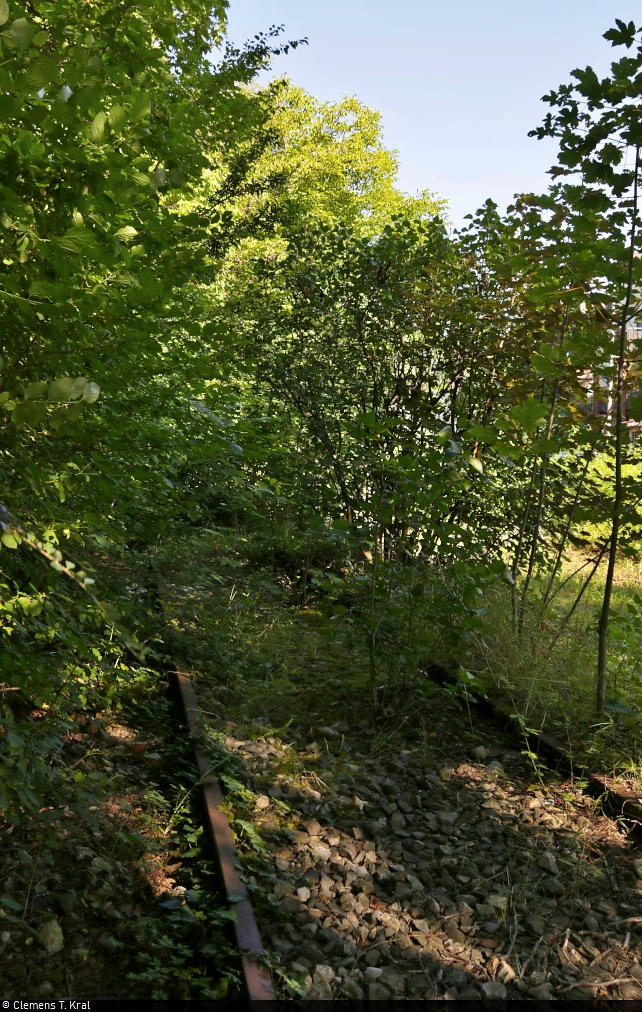 Überwucherte Gleisreste im alten Bahnhof Möglingen. Im Jahr 2005 wurde hier die Strecke zwischen Ludwigsburg und Markgröningen endgültig stillgelegt. Das Land Baden-Württemberg, der Landkreis Ludwigsburg und die Deutsche Bahn wollen in Zukunft aber wieder Züge fahren lassen. Die Reaktivierung ist weit oben priorisiert und würde sich auf alle Fälle lohnen, nur die genaue Umsetzung ist immer wieder ein Streitthema.

🚩 Bahnstrecke Ludwigsburg–Markgröningen (4831)
🕓 30.7.2021 | 9:18 Uhr

Bild durchlief die Selbstfreischaltung.