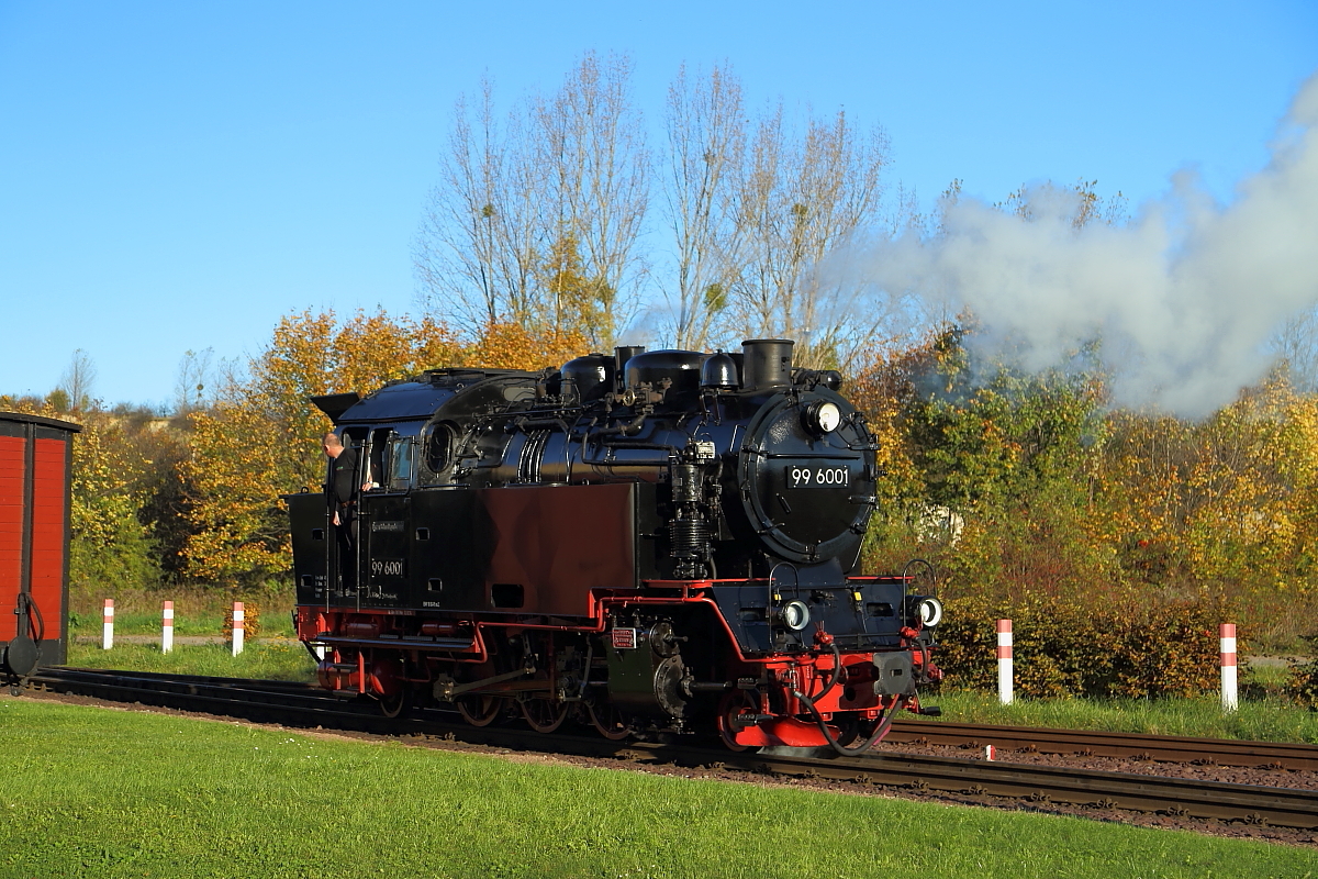 Um auf das hintenliegende Abstellgleis zu kommen, muß 99 6001 den Gernroder Bahnhof ein Stück auf dem Quedlinburger Streckengleis verlassen. (Aufname vom 19.10.2014)