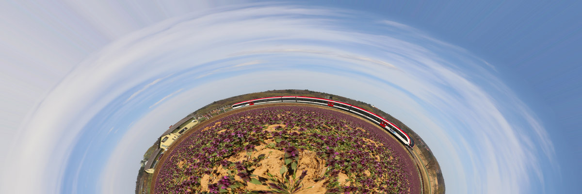 Um die Halbe Welt ???? 

Nein nur im Bogen um den Acker dreht sich ein teil des Bahnhofes Wettmanstätten. 
Im Mittelpunkt ein Feld Voller Taubnesseln ,.... 

9.04.2018