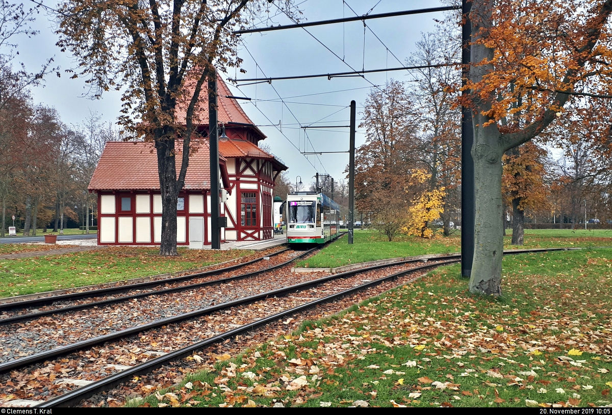 Umgeben von Herbstlaub:
Gelenktriebwagen NGT8D, Nr. 1345, der Magdeburger Verkehrsbetriebe GmbH & Co. KG (MVB) als Linie 6 nach Leipziger Chaussee (Quittenweg) steht in der Starthaltestelle Herrenkrug (Tram).
(Smartphone-Aufnahme)
[20.11.2019 | 10:05 Uhr]