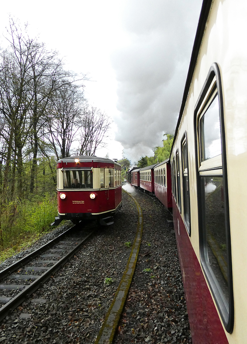 Unangekündigte Ueberraschung mitten im Grünen: bei dieser Ausweichstelle wartete dieser Triebwagen auf unsere Vorbeifahrt. Wernigerode, 17.4.2024