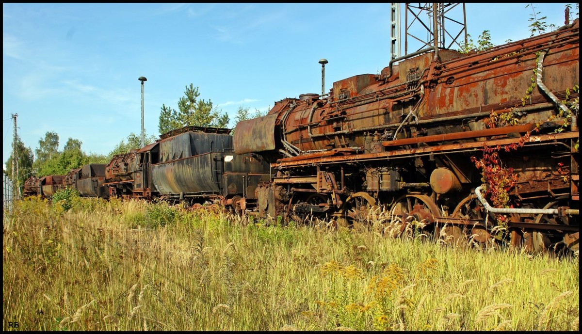 Unbekannt 52 der Loksammlung Falz im Gelände des ehemaligen BW Falkenberg/Elster. Aufnahmedatum war der 16.09.2012. 