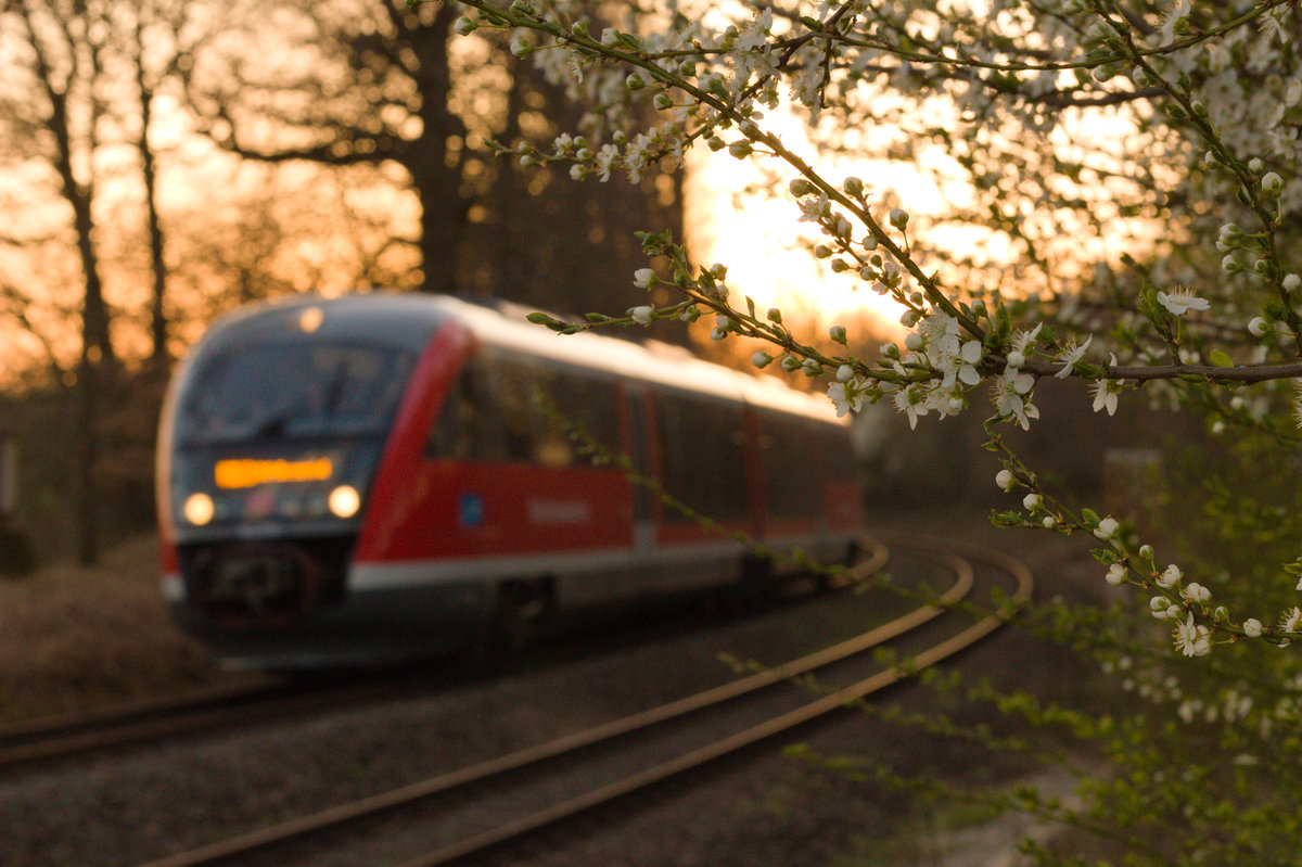 Unbekannter 642 als RE Heilbronn-Crailsheim am 30.03.2021 zwischen Öhringen und Neuenstein in der unscharfen Ebene.  