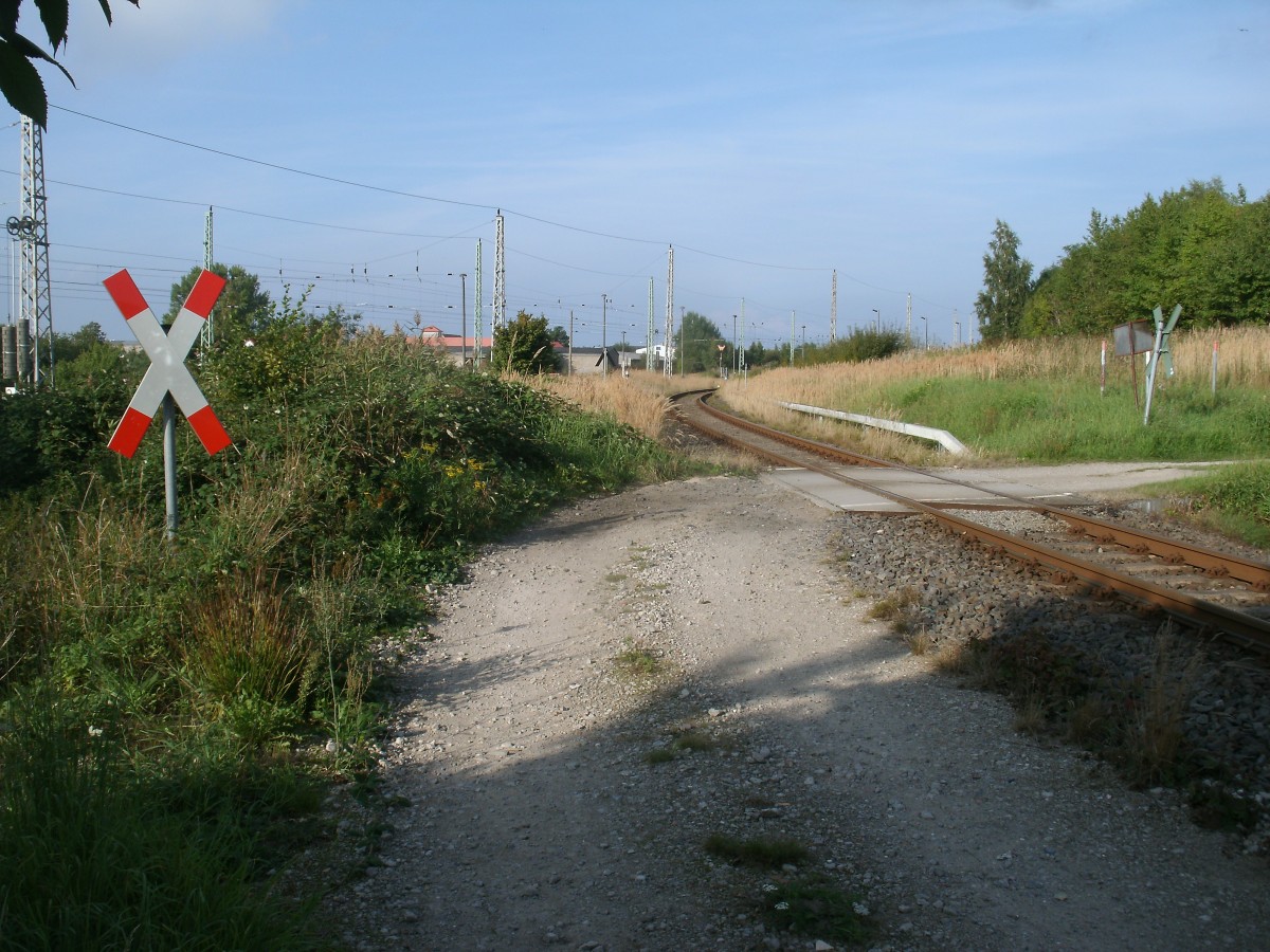 Unbeschrankter Bahnbergang bei Bergen/Rgen an der Strecke Bergen-Lauterbach Mole am 14.September 2013.