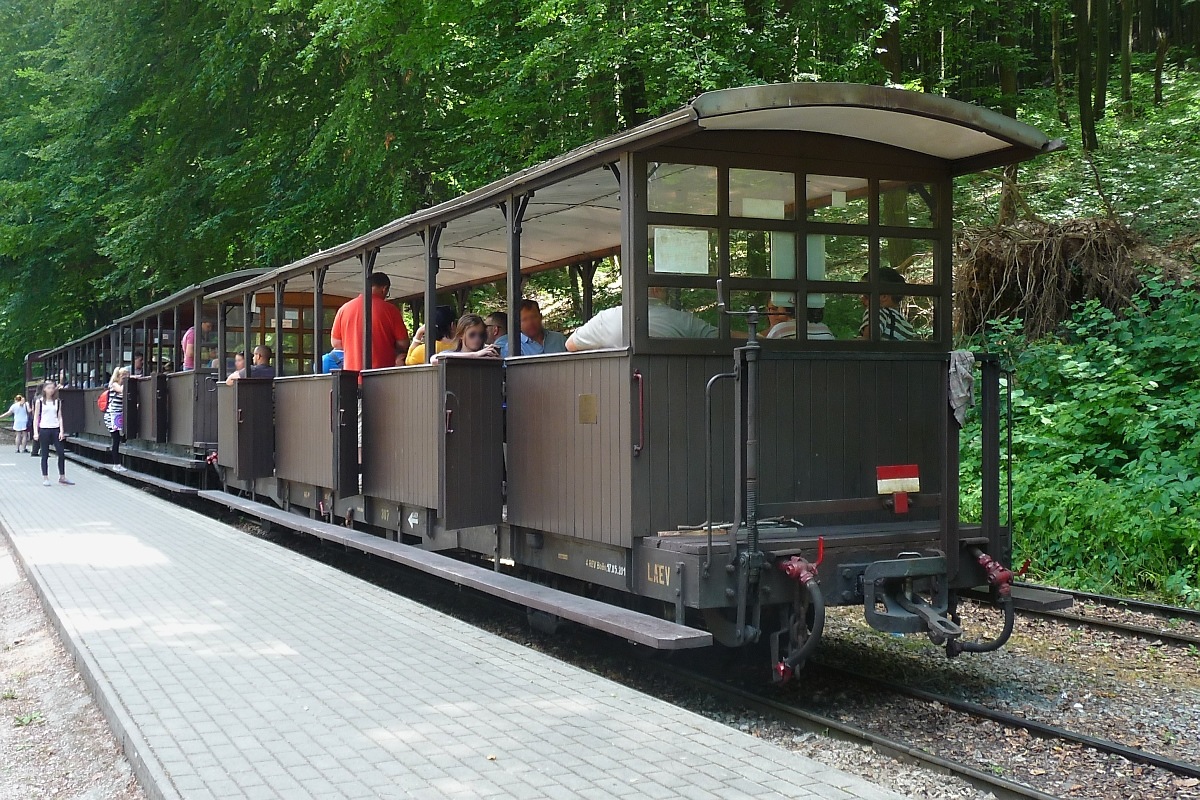 Und auch wenn der Zug sich langsam wieder füllt, für ein Foto der Wagen ist noch immer Zeit...
Garadna, 10.7.16 