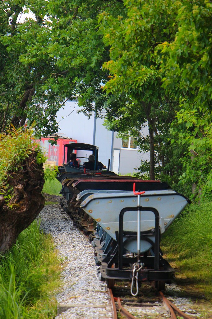 Und ein weiterer Nachschuss auf den Kipplorenzug im  Sumpfgebiet  der Anlage. 10.05.2014 