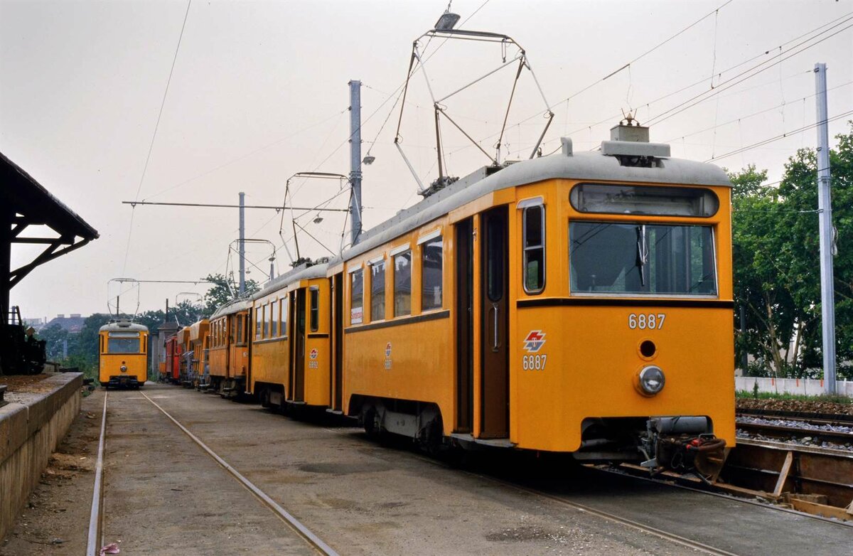 Und hier wieder eine Wagenreihe für Stadtbahnfans: Rechts ATW 6887, ATW 6892, ATW 6922 und ATW 6891 vor dem Depot Michelbeuern der Wiener Stadtbahn, 16.08.1984.