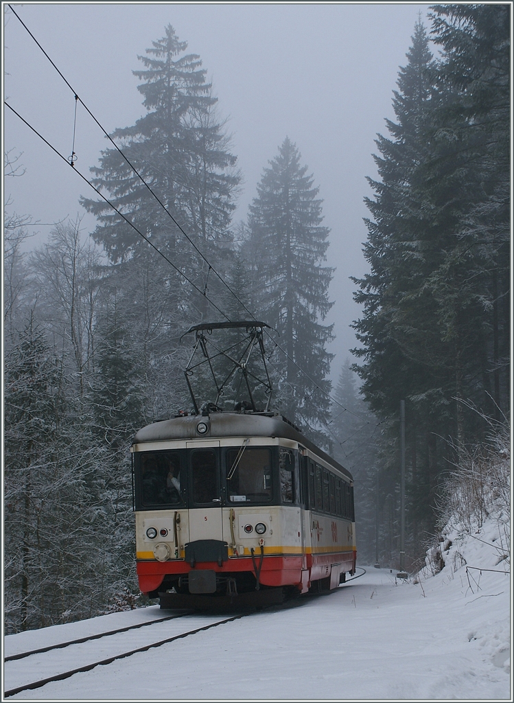 Und weiter geht die Fahrt durch den Winterwald Richtung Les Brents.
18. Jan. 2010