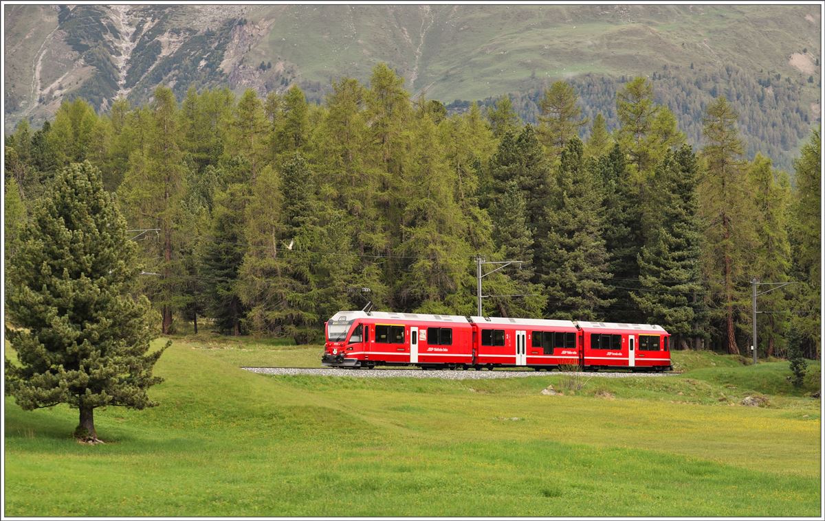 UNESCO Welterbetag bei der RhB. R1628 mit Abe 8/12 3515 unterwegs im Stazerwald zwischen Pontresina und St.Moritz. (12.06.2016)