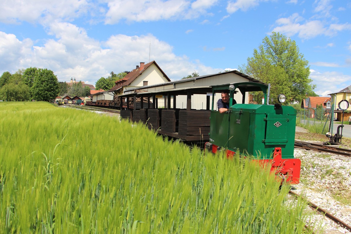 Unser Maxl in seinem Element. Stainz am 10.Mai 2014