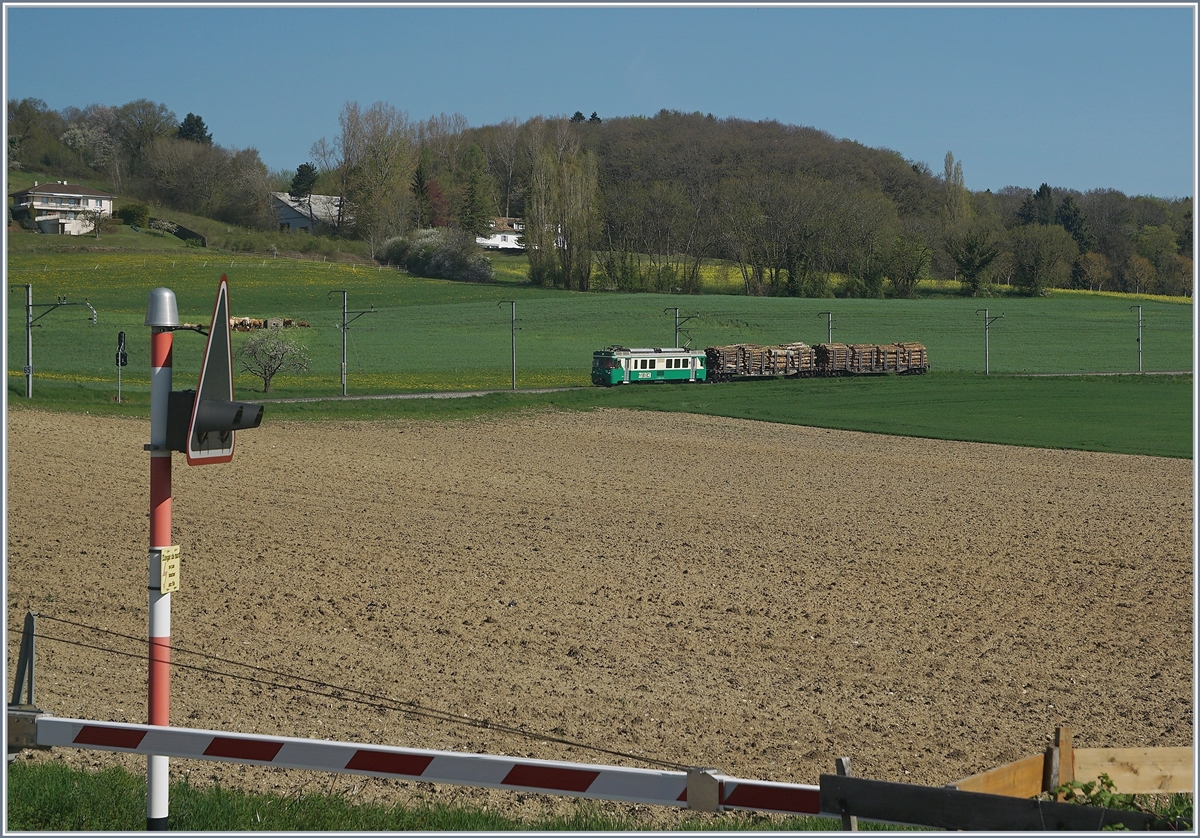 Unser Zug (und mein Fotostandpunkt) warten in Yens auf einen Gegenzug, welcher pünktlich unterwegs unsere Weiterfahrt nicht verzögert: Ein BAM Be 4/4 mit einem beladen Holzwagen auf den Weg nach Morges.
19. April 2018